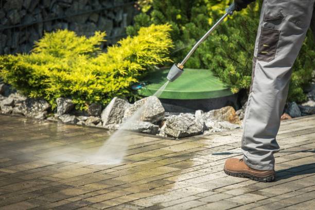 Animal Enclosure Cleaning in East Bakersfield, CA